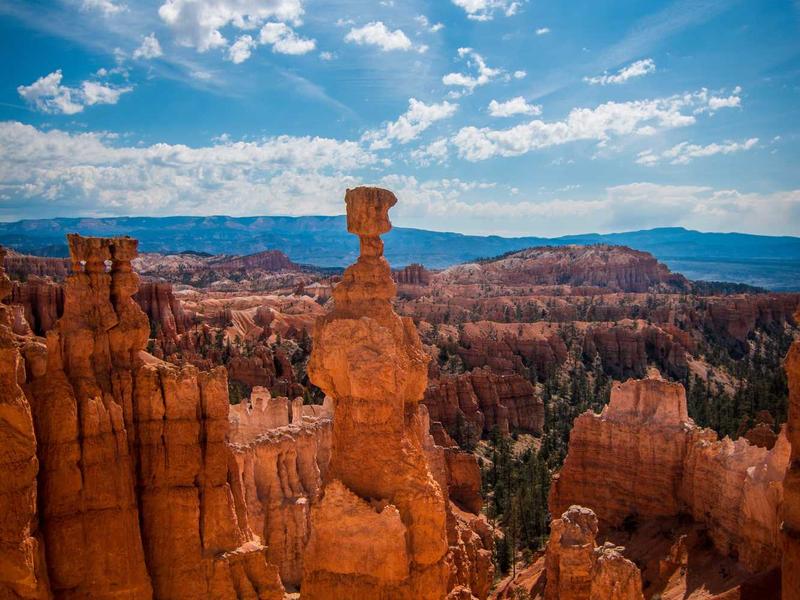 sudoku forcing chains screenshot 2