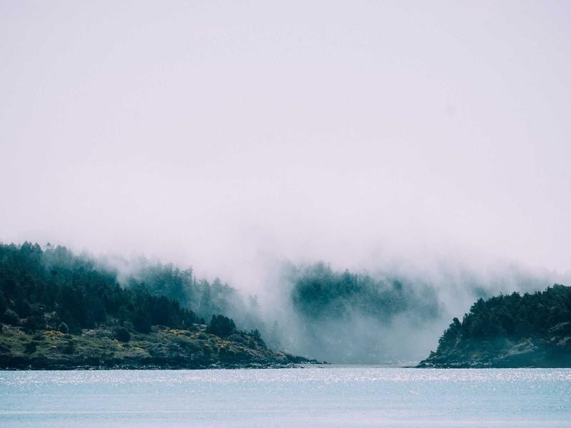 sudoku forcing chains screenshot 5